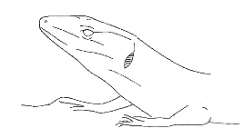 Uma imagem com esboço, Desenho de linha, desenho, Traçado de linha

Os conteúdos gerados por IA poderão estar incorretos.