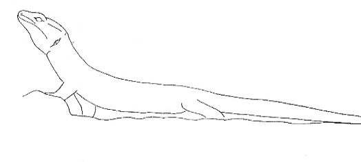 Uma imagem com esboço, Desenho de linha, desenho, Traçado de linha

Os conteúdos gerados por IA poderão estar incorretos.