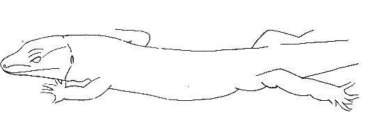 Uma imagem com esboço, Desenho de linha, desenho, Traçado de linha

Os conteúdos gerados por IA poderão estar incorretos.