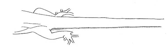 Uma imagem com esboço, desenho, Desenho de linha, Traçado de linha

Os conteúdos gerados por IA poderão estar incorretos.