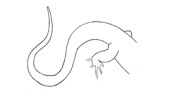 Uma imagem com esboço, Desenho de linha, desenho, clipart

Os conteúdos gerados por IA podem estar incorretos.