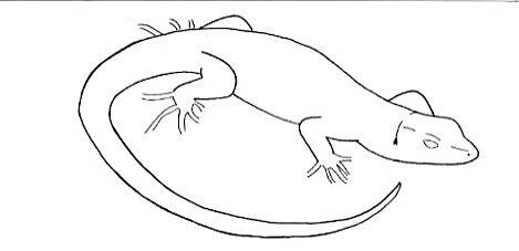 Uma imagem com esboço, desenho, Desenho de linha, clipart

Os conteúdos gerados por IA poderão estar incorretos.