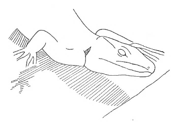 Uma imagem com desenho, esboço, Desenho de linha, peixe

Os conteúdos gerados por IA poderão estar incorretos.