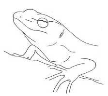 Uma imagem com Desenho de linha, esboço, desenho, Traçado de linha

Os conteúdos gerados por IA poderão estar incorretos.