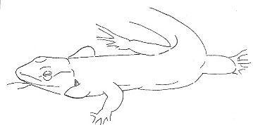 Uma imagem com esboço, Desenho de linha, desenho, Livro para colorir

Os conteúdos gerados por IA poderão estar incorretos.