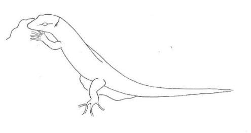 Uma imagem com esboço, desenho, Desenho de linha, ilustração

Os conteúdos gerados por IA podem estar incorretos.