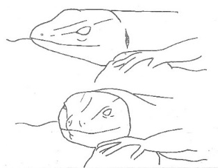 Uma imagem com desenho, esboço, Desenho de linha, ilustração

Os conteúdos gerados por IA poderão estar incorretos.