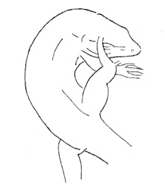 Uma imagem com Desenho de linha, esboço, desenho, ilustração

Os conteúdos gerados por IA poderão estar incorretos.