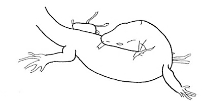 Uma imagem com esboço, desenho, Desenho de linha, clipart

Os conteúdos gerados por IA podem estar incorretos.