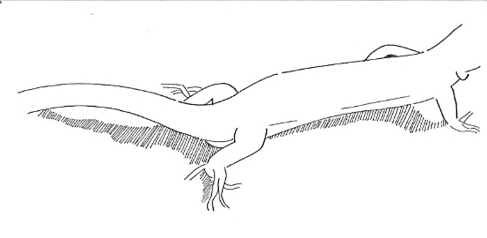 Uma imagem com esboço, desenho, Desenho de linha, ilustração

Os conteúdos gerados por IA podem estar incorretos.