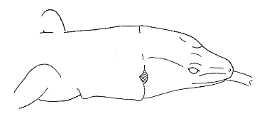 Uma imagem com esboço, desenho, Desenho de linha, Traçado de linha

Os conteúdos gerados por IA poderão estar incorretos.