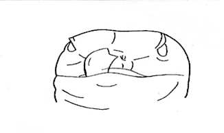 Uma imagem com esboço, desenho, Desenho de linha, ilustração

Os conteúdos gerados por IA poderão estar incorretos.