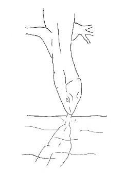 Uma imagem com esboço, desenho, Desenho de linha, Traçado de linha

Os conteúdos gerados por IA poderão estar incorretos.