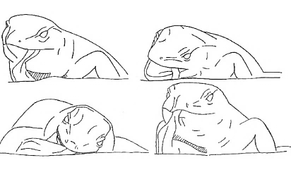 Uma imagem com esboço, Desenho de linha, ilustração, Livro para colorir

Os conteúdos gerados por IA poderão estar incorretos.