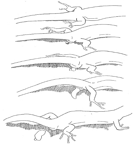 Uma imagem com esboço, desenho, Desenho de linha, arte

Os conteúdos gerados por IA poderão estar incorretos.