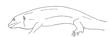 Uma imagem com esboço, desenho, Desenho de linha, Livro para colorir

Os conteúdos gerados por IA poderão estar incorretos.