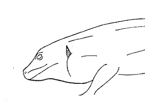 Uma imagem com esboço, desenho, Desenho de linha, desenhos de criança

Os conteúdos gerados por IA poderão estar incorretos.