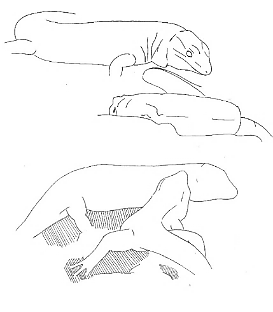 Uma imagem com esboço, desenho, Desenho de linha, ilustração

Os conteúdos gerados por IA poderão estar incorretos.