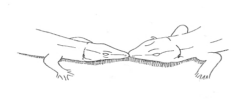 Uma imagem com esboço, desenho, Desenho de linha, Traçado de linha

Os conteúdos gerados por IA poderão estar incorretos.
