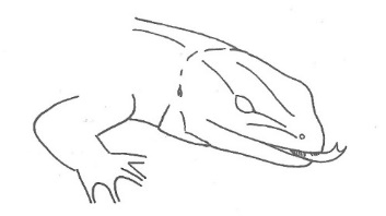 Uma imagem com esboço, Desenho de linha, desenho, Traçado de linha

Os conteúdos gerados por IA poderão estar incorretos.