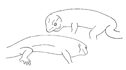 Uma imagem com esboço, desenho, Desenho de linha, ilustração

Os conteúdos gerados por IA poderão estar incorretos.