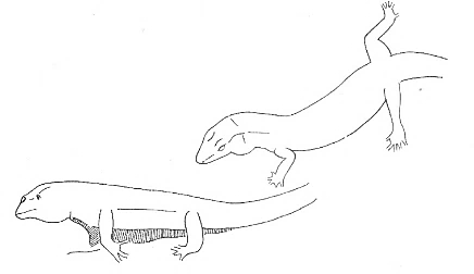 Uma imagem com esboço, desenho, Desenho de linha, clipart

Os conteúdos gerados por IA poderão estar incorretos.