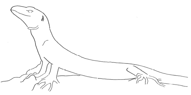 Uma imagem com esboço, Desenho de linha, desenho, ilustração

Os conteúdos gerados por IA poderão estar incorretos.