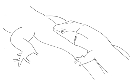 Uma imagem com esboço, desenho, desenhos de criança

Os conteúdos gerados por IA podem estar incorretos.