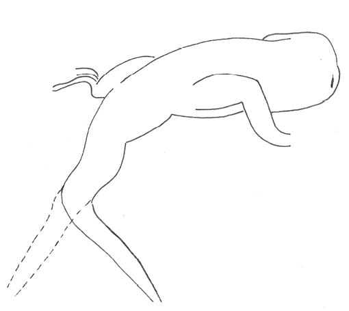 Uma imagem com esboço, desenho, Desenho de linha, ilustração

Os conteúdos gerados por IA poderão estar incorretos.