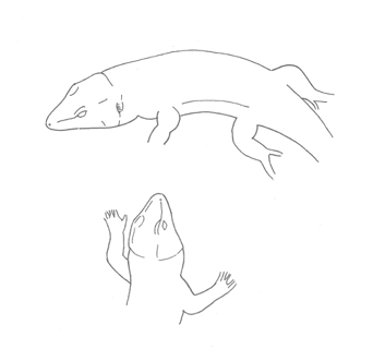 Uma imagem com desenho, esboço, Desenho de linha, ilustração

Os conteúdos gerados por IA podem estar incorretos.